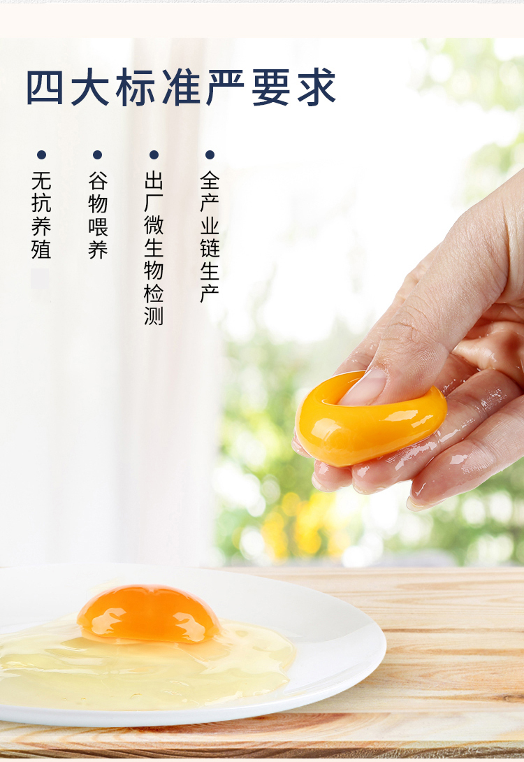 统一版-无抗开窝鸡蛋_04.jpg