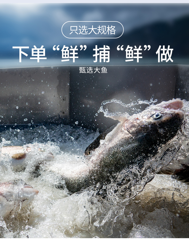 微信图片_20231026170731_13.jpg