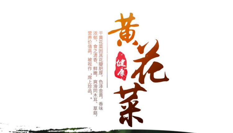 黄花菜_01.jpg