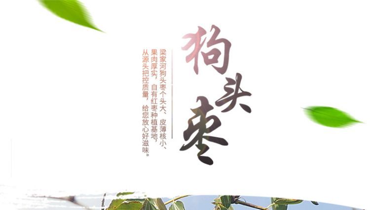 狗头枣黄袋_01.jpg