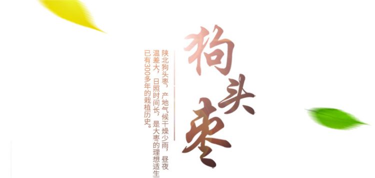 狗头枣白_01.jpg