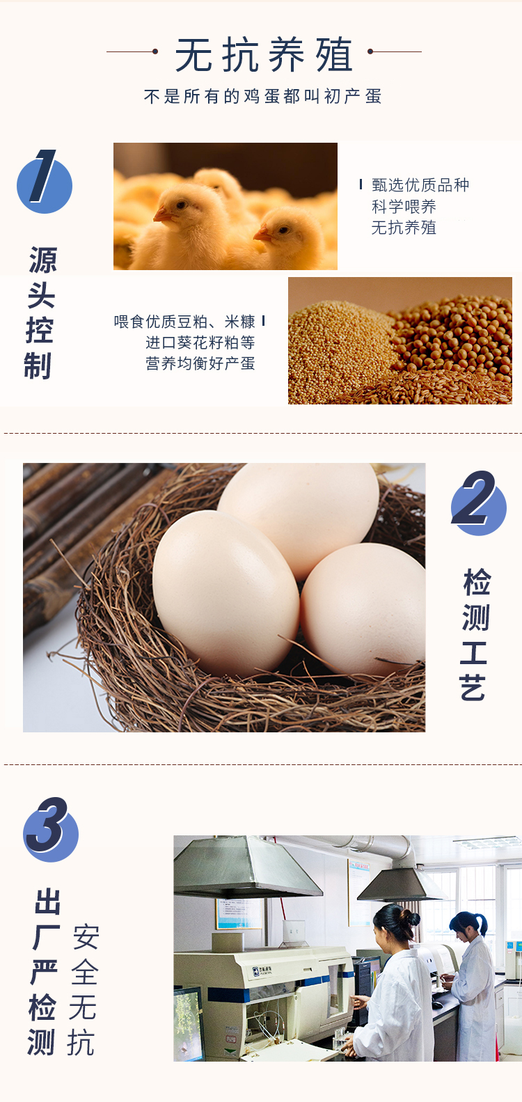 统一版-无抗开窝鸡蛋_07.jpg