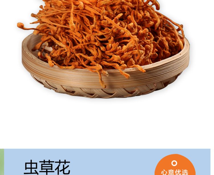 虫草花2021_02.jpg