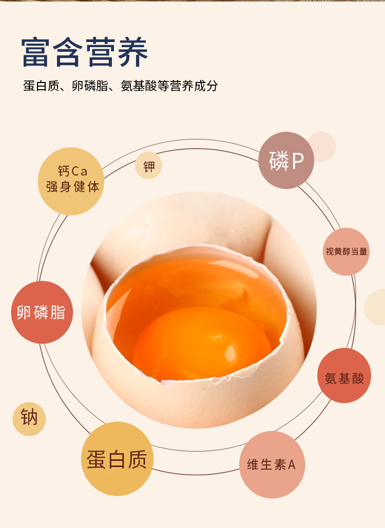 统一版-无抗开窝鸡蛋_06.jpg