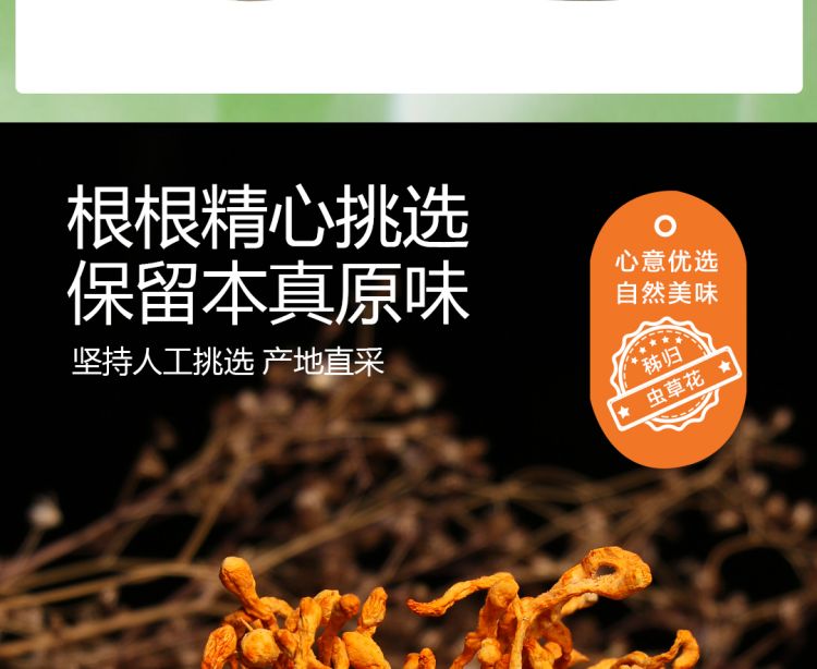 虫草花2021_06.jpg