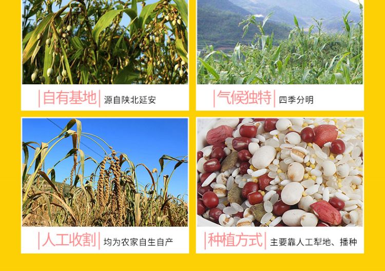 红豆薏米粥礼盒_04.jpg