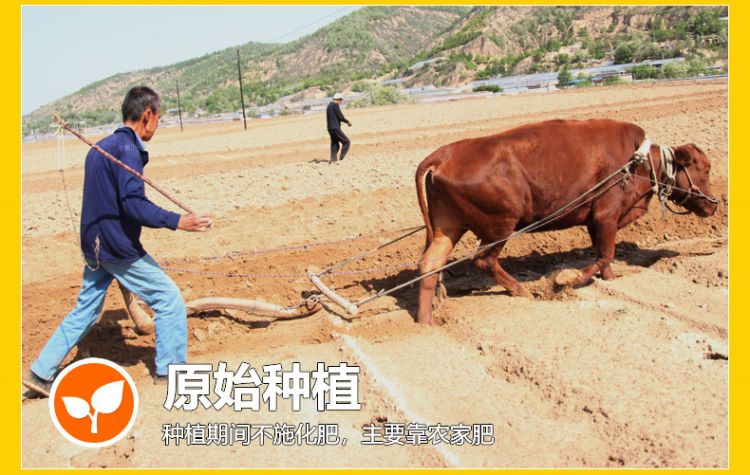 杂粮粥礼盒_08.jpg