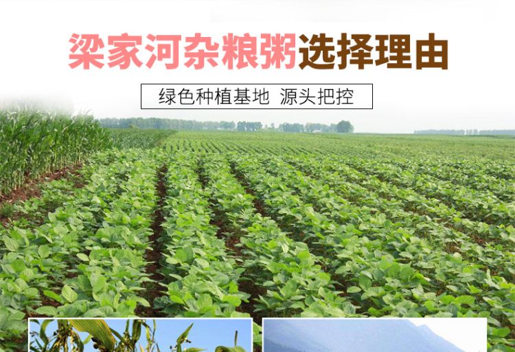 红豆薏米粥礼盒_03.jpg