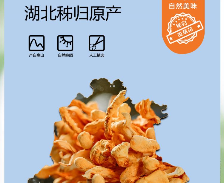 虫草花2021_03.jpg
