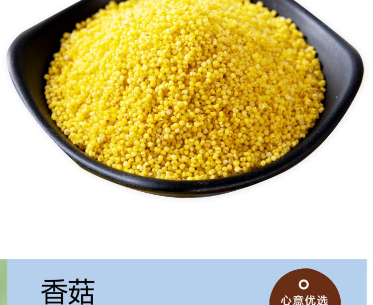 香菇2021_02.jpg
