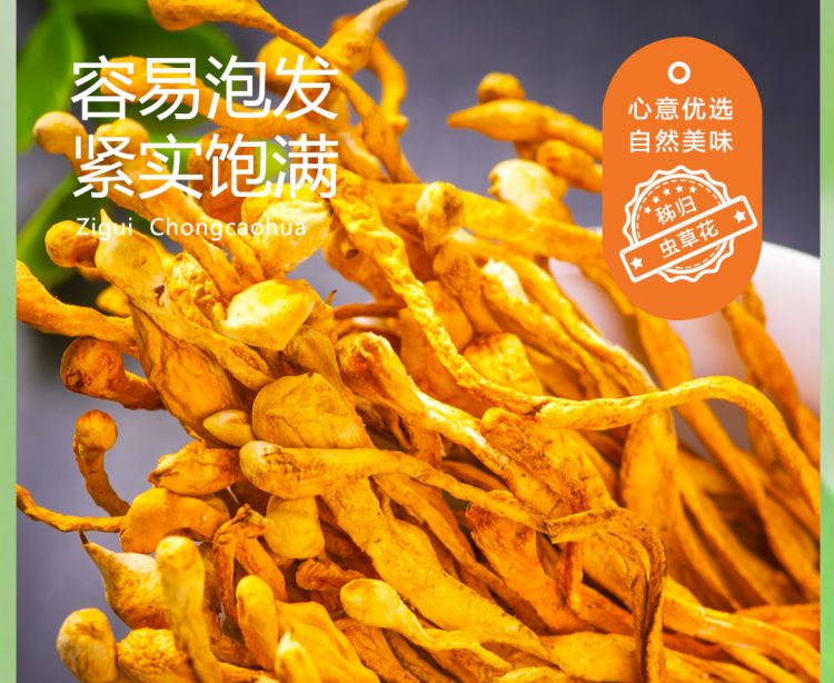 虫草花2021_08.jpg
