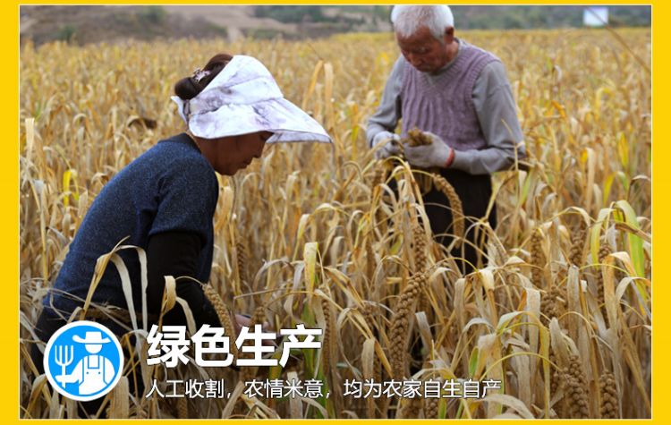 杂粮粥礼盒_09.jpg