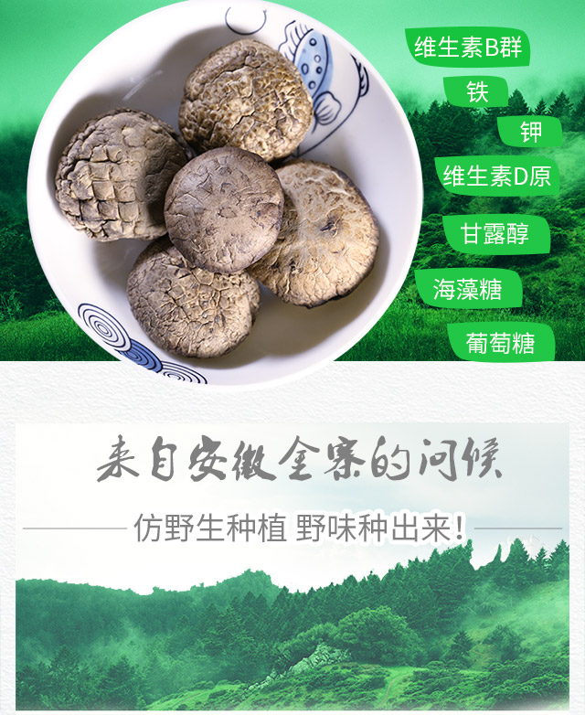 香菇_02.jpg