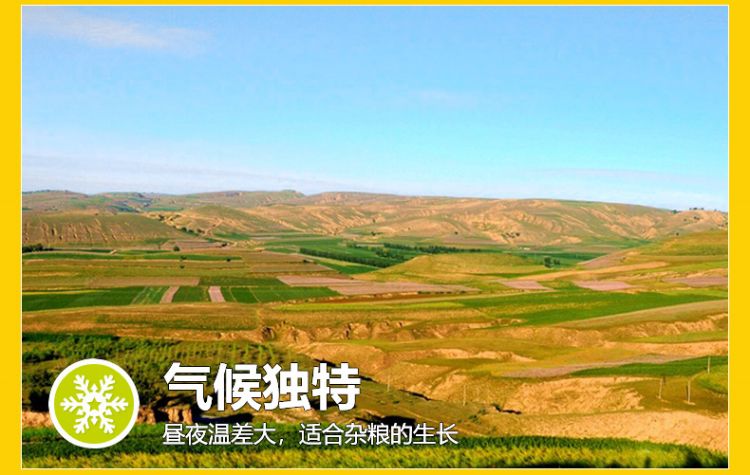 杂粮粥礼盒_07.jpg