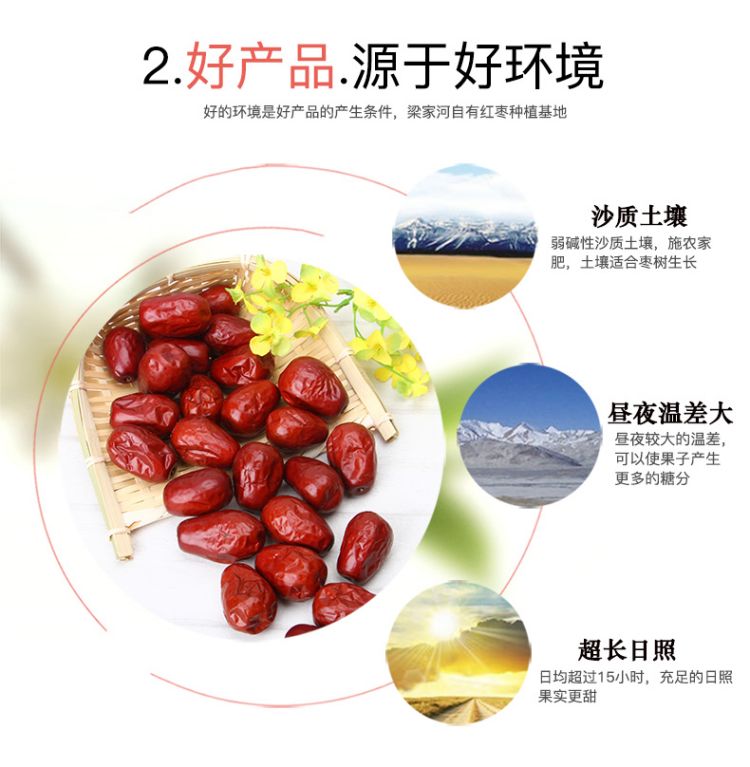 狗头枣白_06.jpg