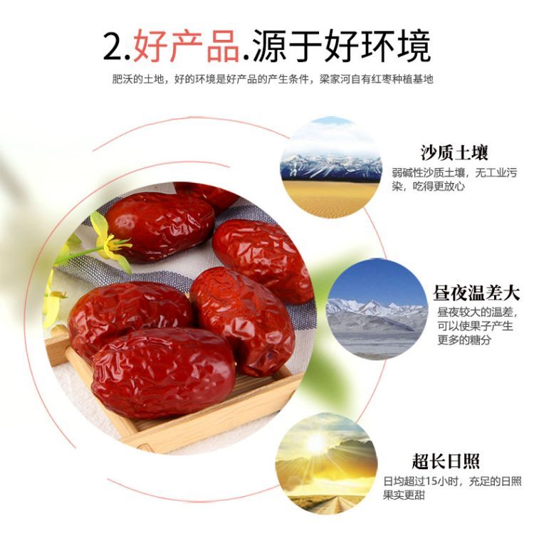 狗头枣黄袋_06.jpg