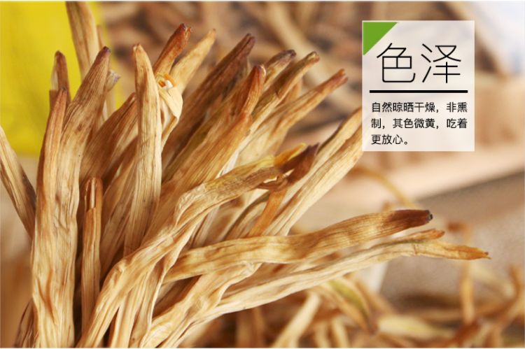 黄花菜_08.jpg