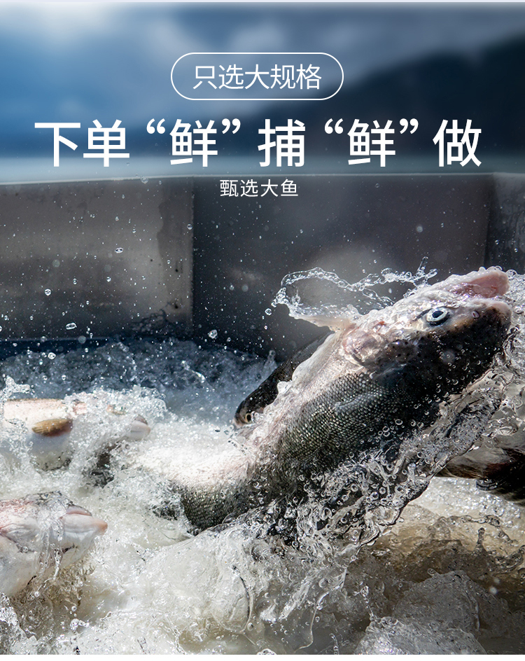 微信图片_20231026170731_13.jpg