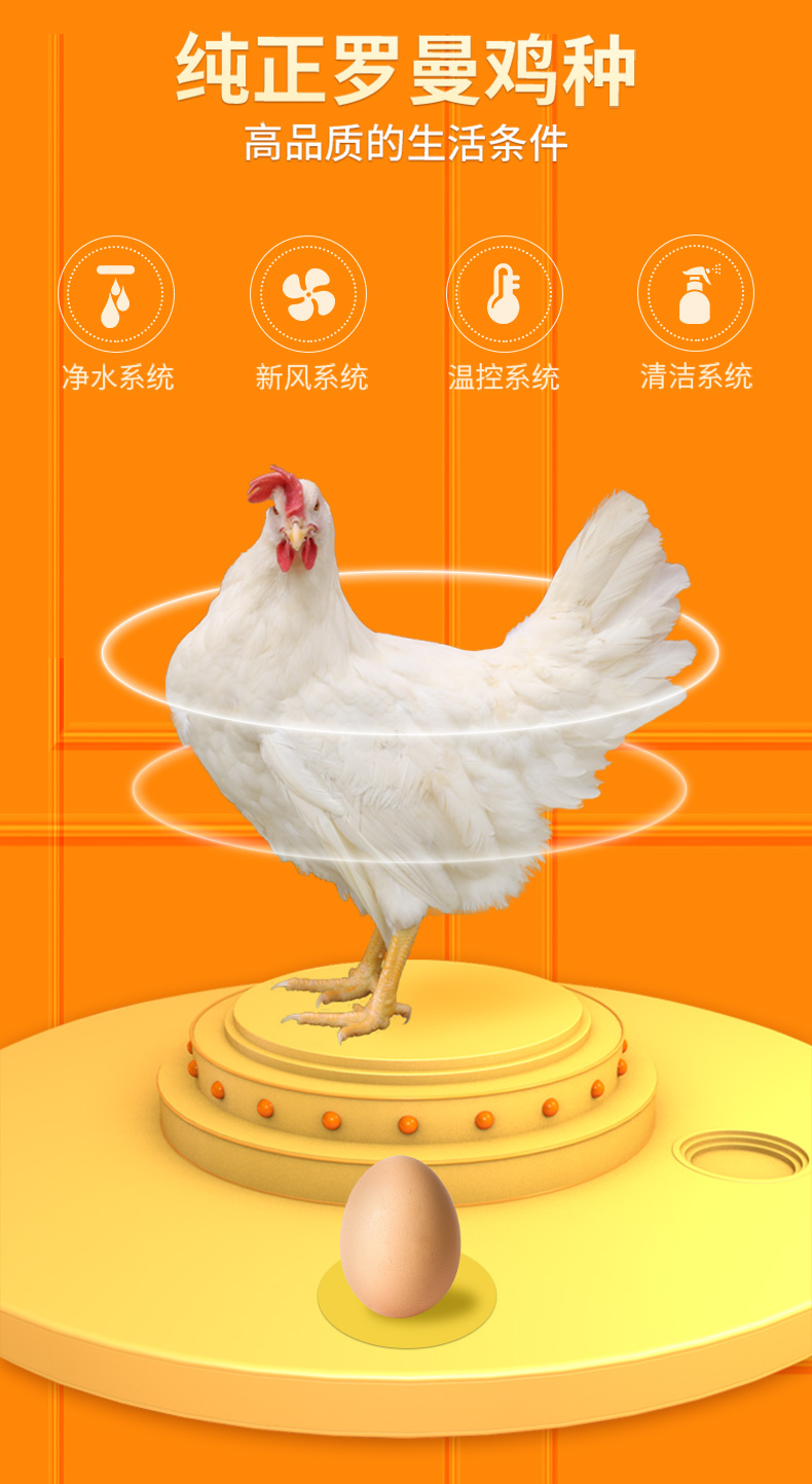 2022-02-15鲜蛋谷物系列20枚修改_13.jpg