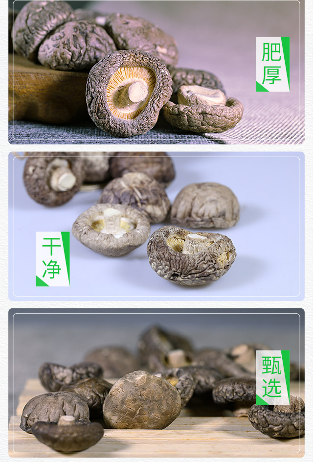 香菇_07.jpg