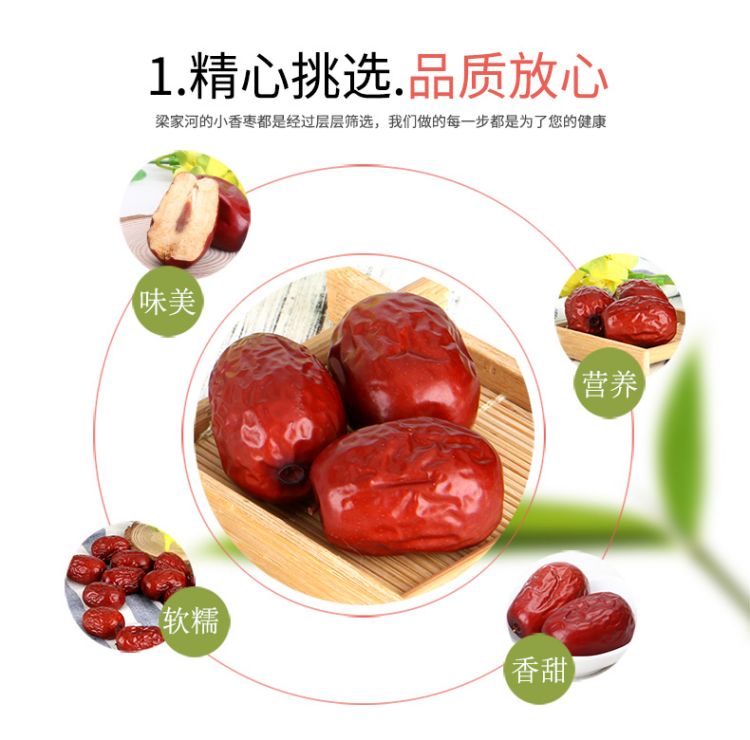 小香枣_05.jpg