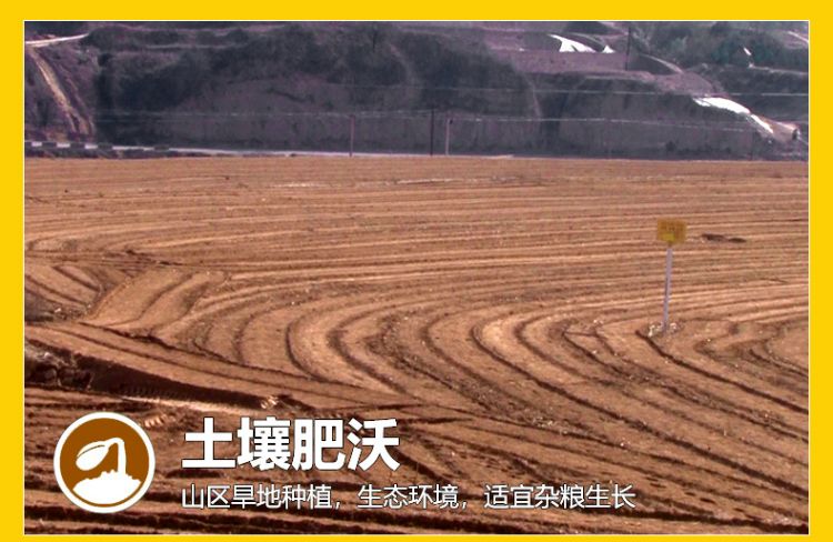 杂粮粥礼盒_05.jpg