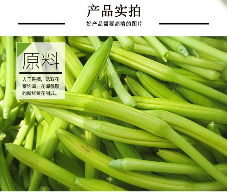 黄花菜_07.jpg