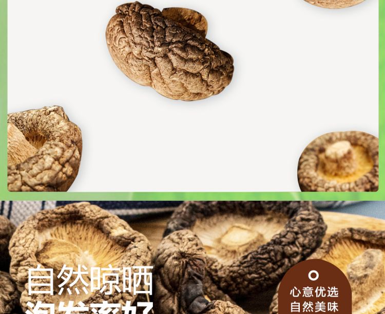 香菇2021_09.jpg
