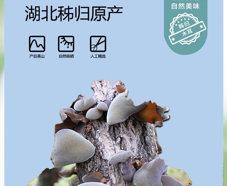 木耳2021_03.jpg