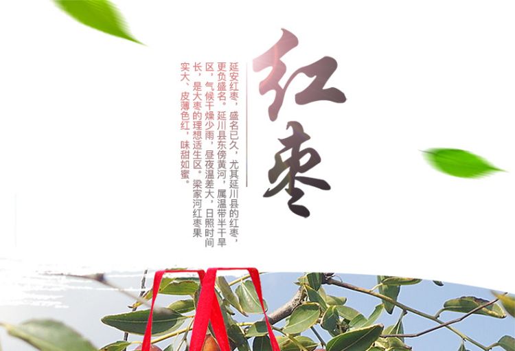 红枣礼盒_01.jpg