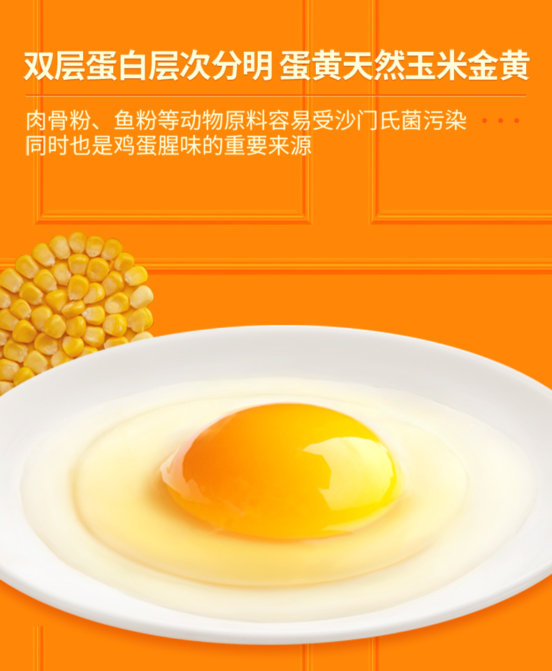 2022-02-15鲜蛋谷物系列20枚修改_11.jpg