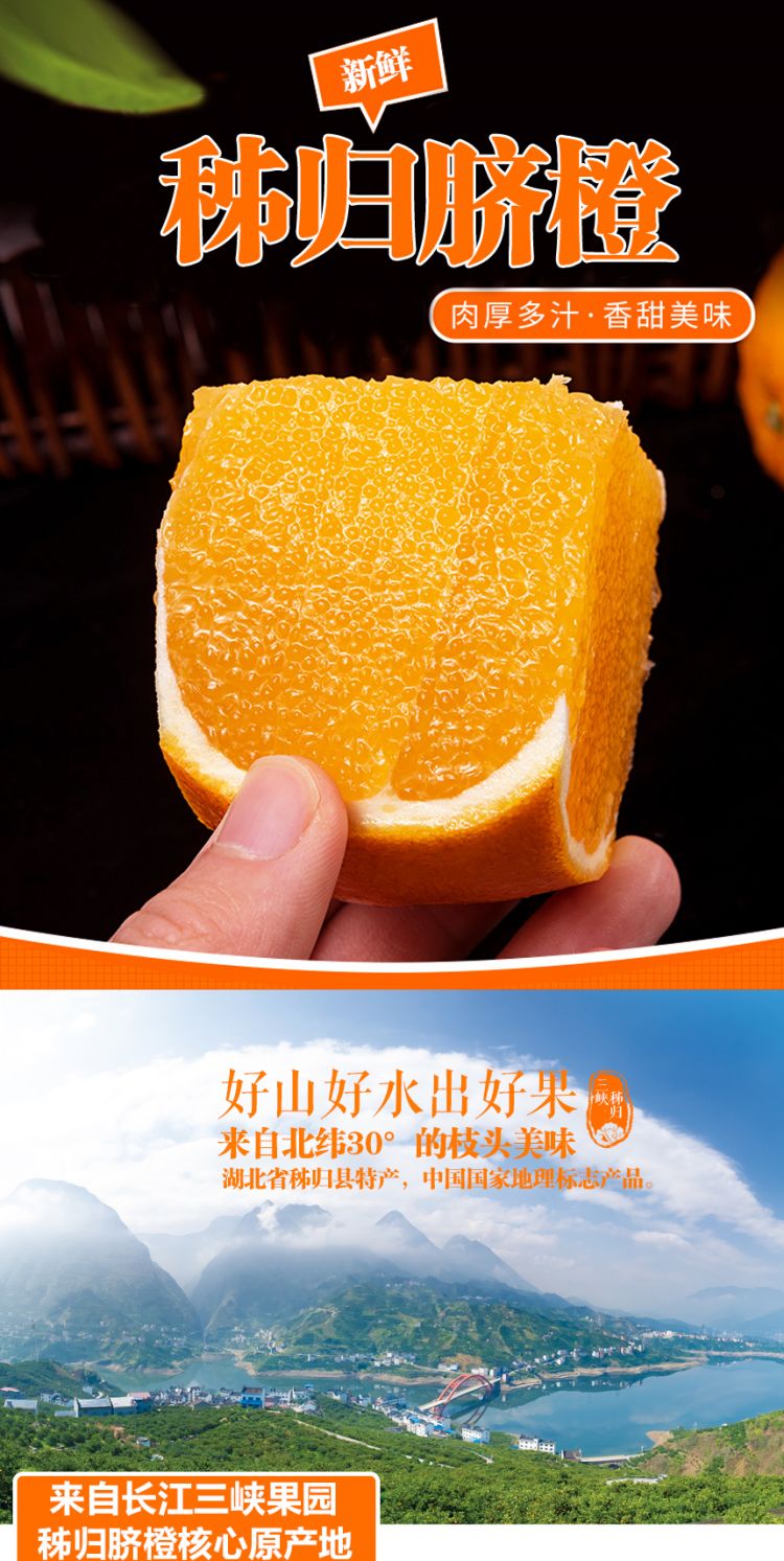 秭归脐橙通用_01.jpg