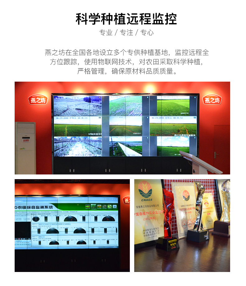 小粒黄冰糖_11.jpg