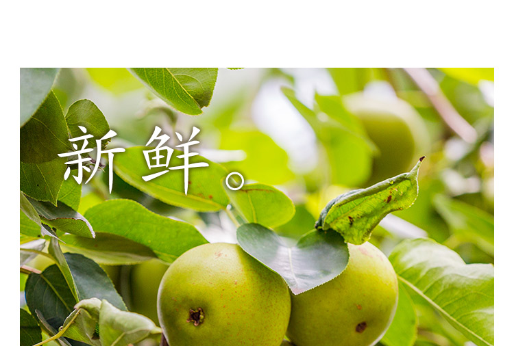 秋梨膏详情页[最终版]_07.jpg