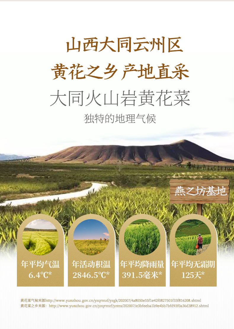 黄花菜_05.png
