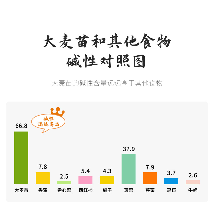 青汁_04.jpg