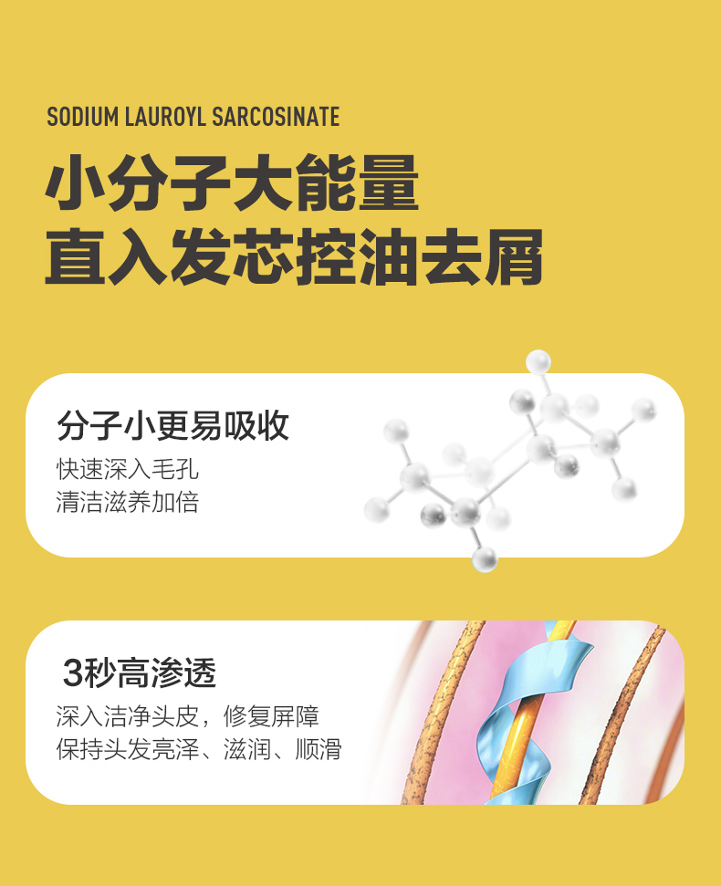 山姜健发_03.jpg