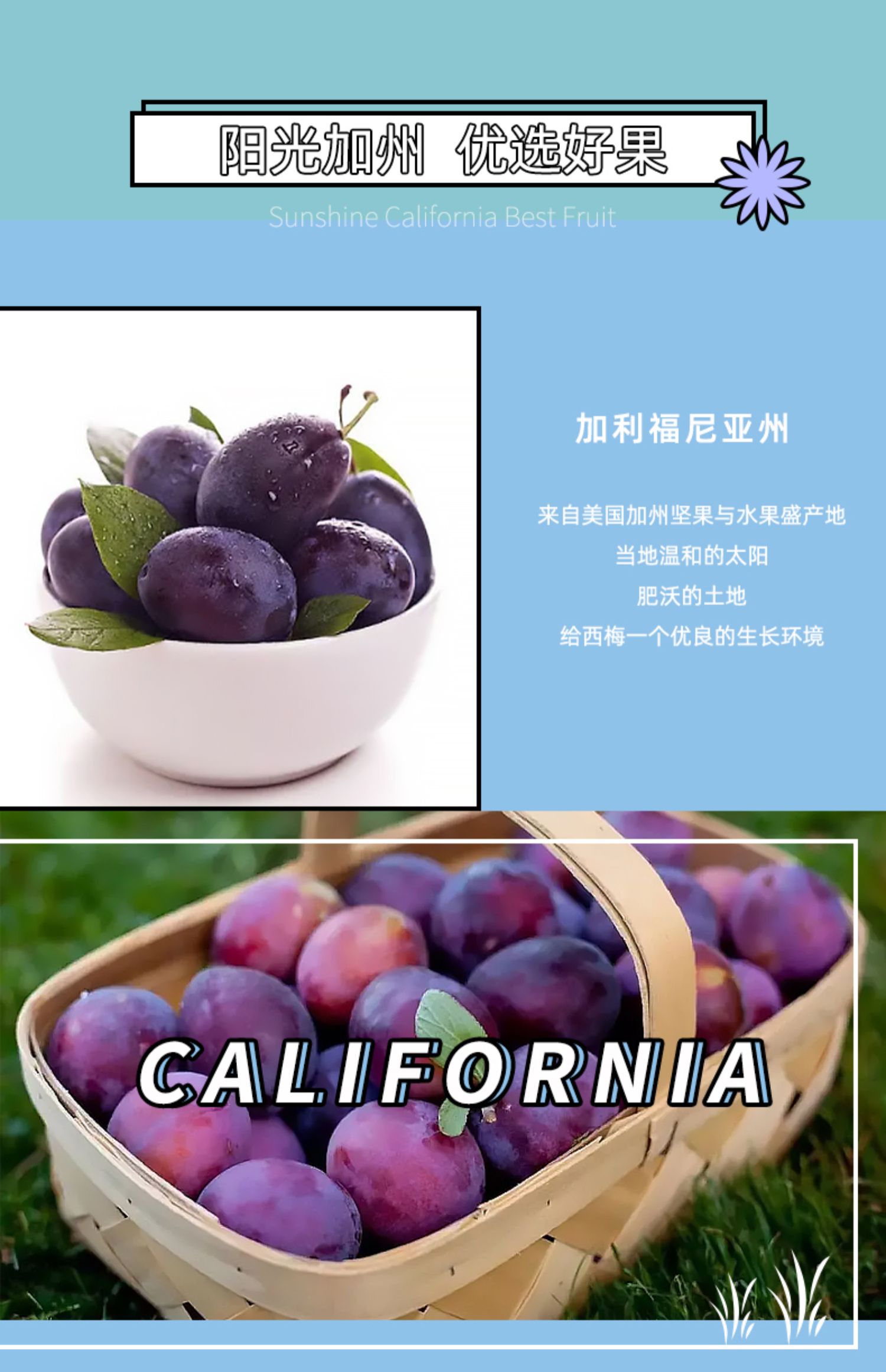 详情-06.jpg