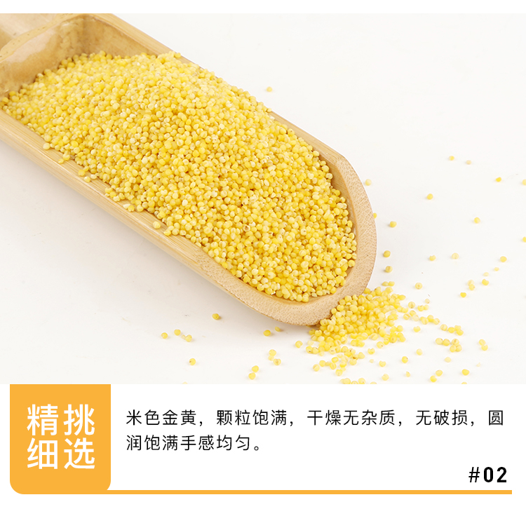 小米_06.jpg