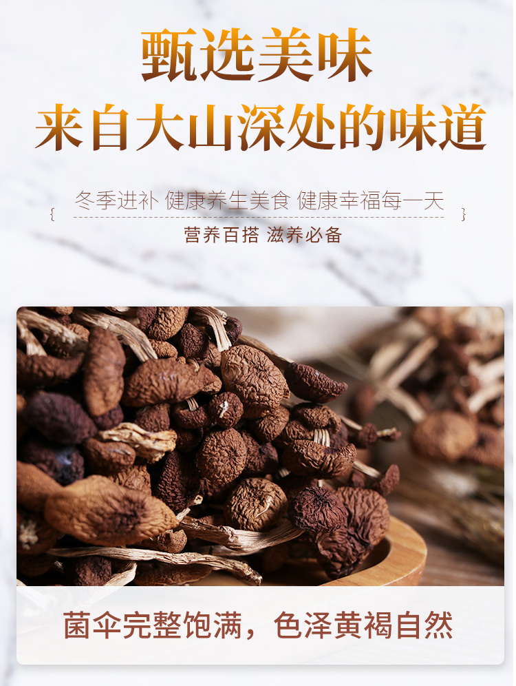 茶树菇_07.jpg
