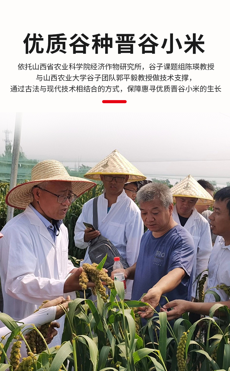 详情-06.jpg