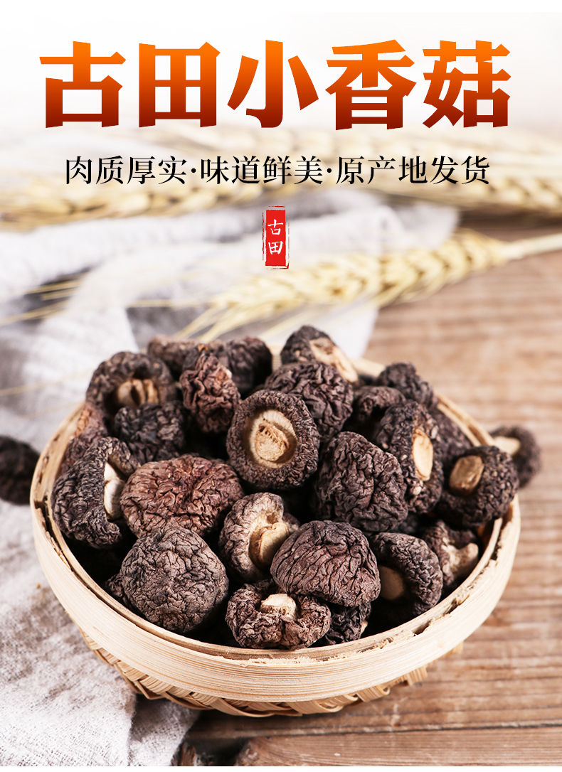 小香菇_02.jpg
