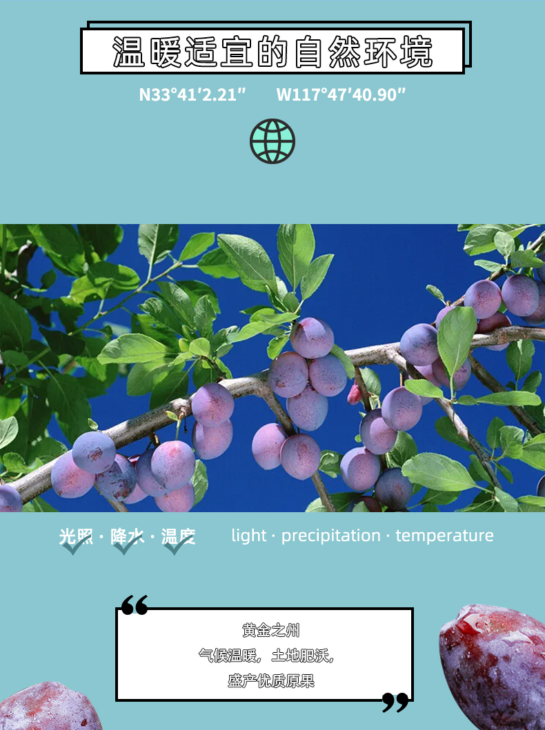 详情-08.jpg