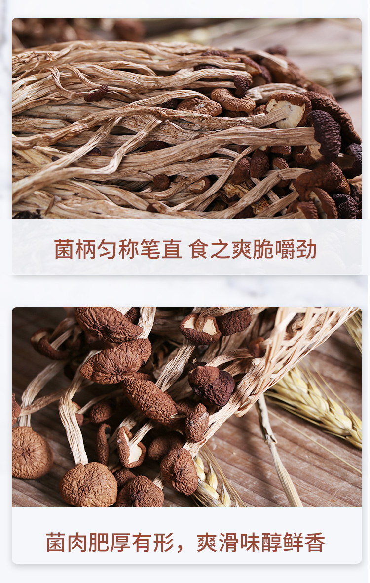 茶树菇_08.jpg
