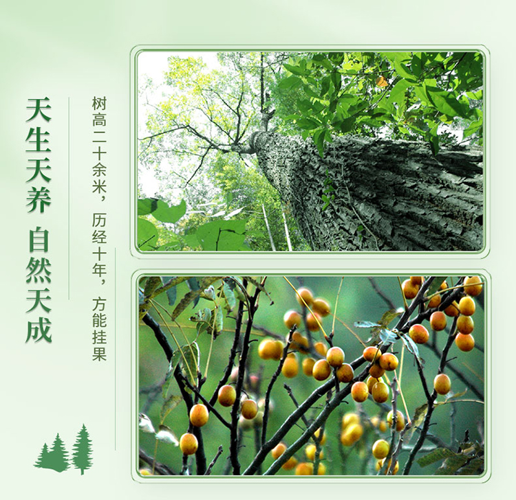 0添加详情页源文件-20210426最终_07.jpg