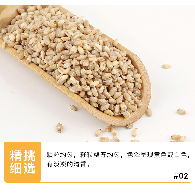 小麦仁_06.jpg
