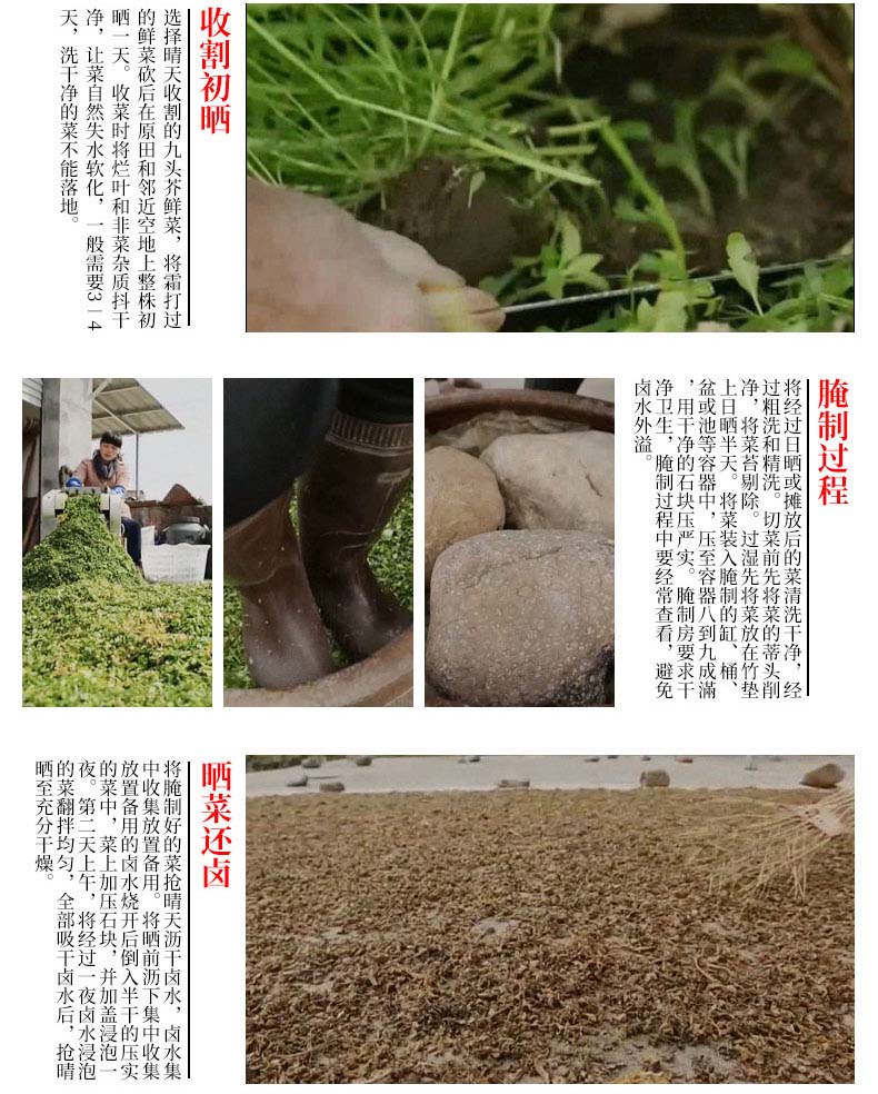 缙云梅干菜_08.jpg
