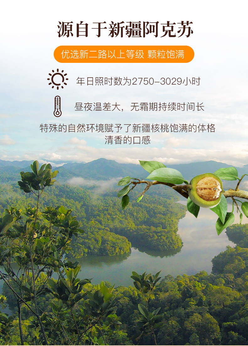核桃仁300g-新详情_03.jpg