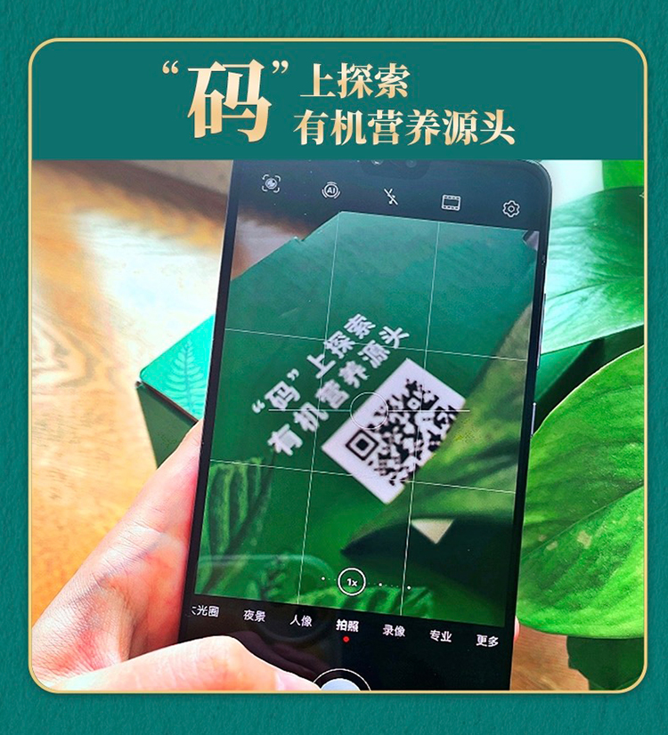详情-02.jpg