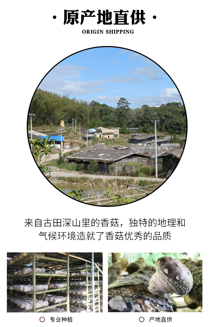 小香菇_08.jpg